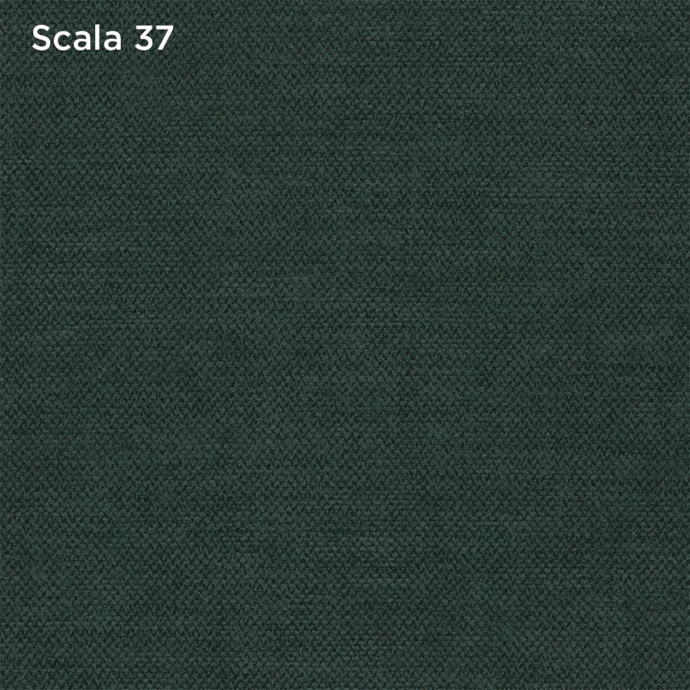 Scala 37