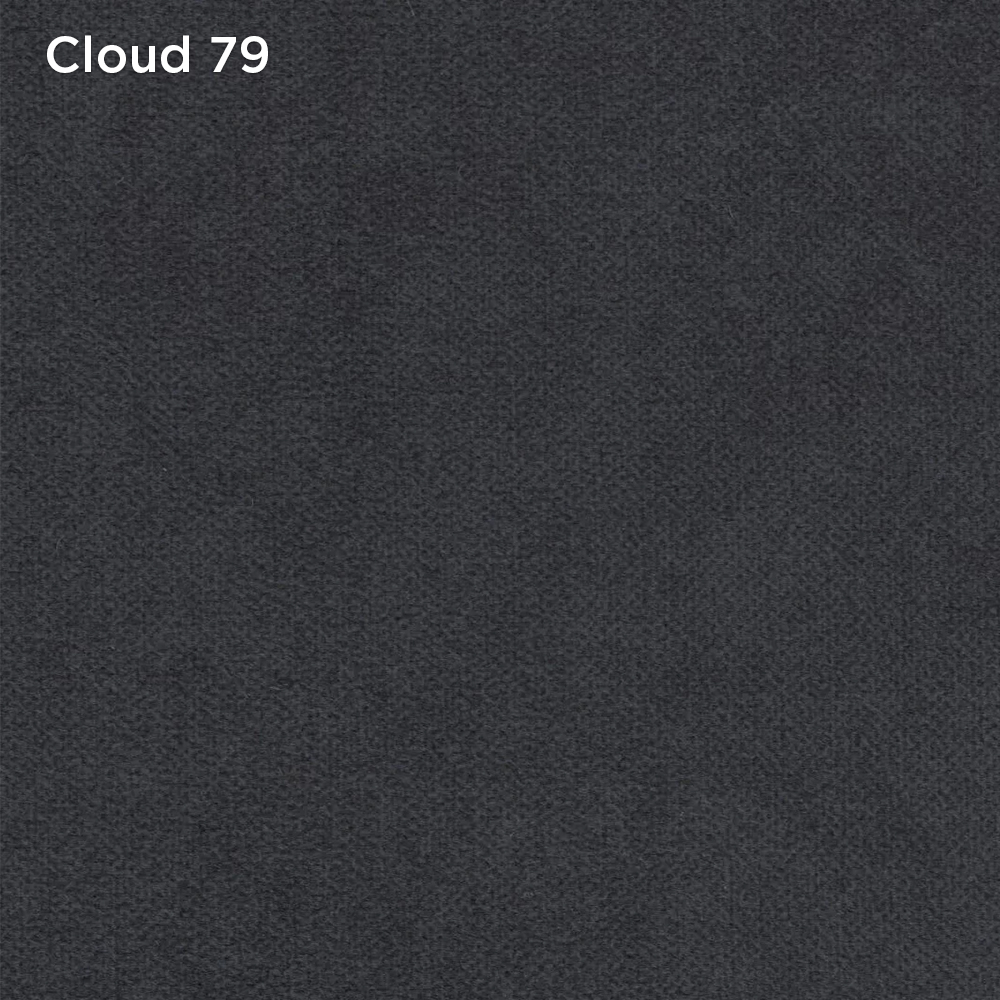 Cloud 79