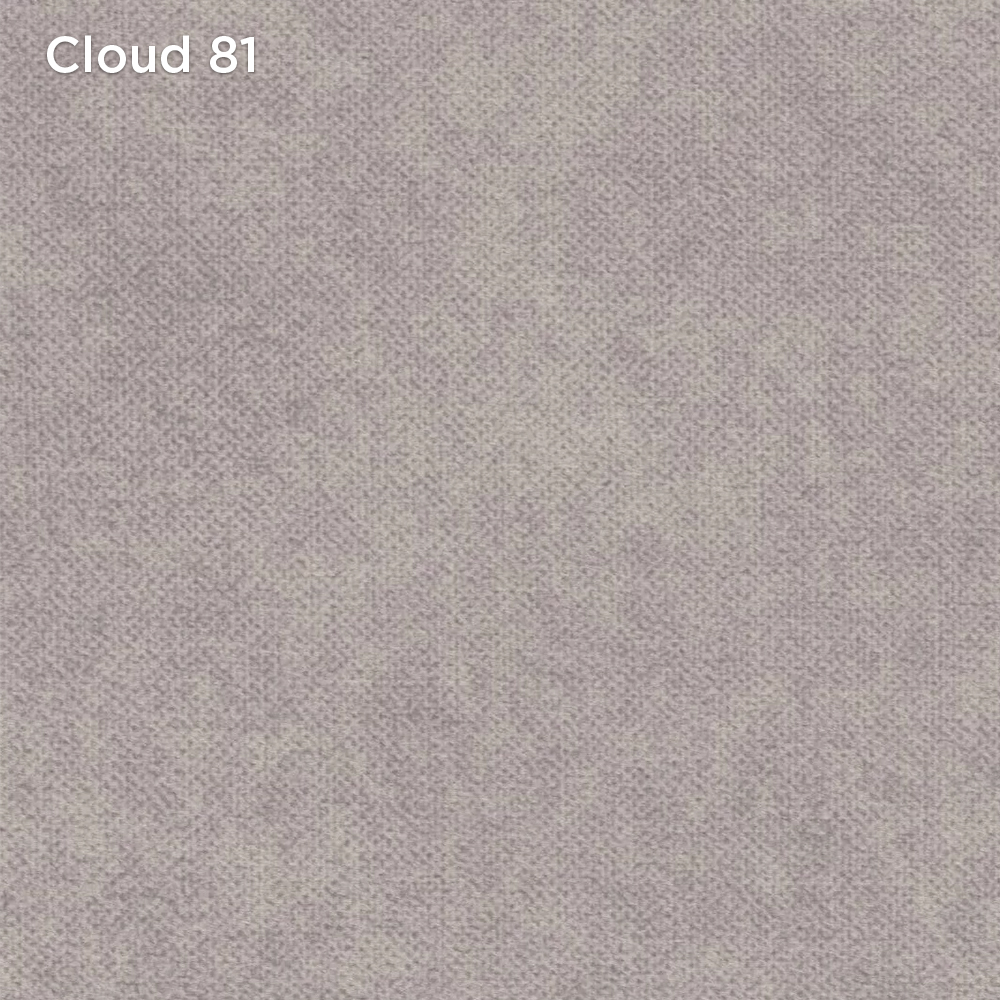 Cloud 81